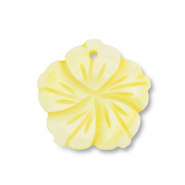 Shell charm flower Yellow