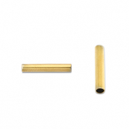 Stainless steel beads tube 5mm Gold