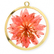 Charms with dried flowers 34mm Gold-Living Coral Red