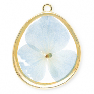 Charms with dried flowers egg-shaped Gold-Light Blue